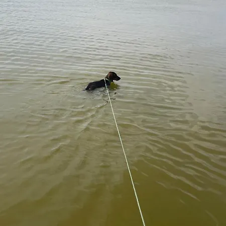 Apartamento Gárdonyi 1